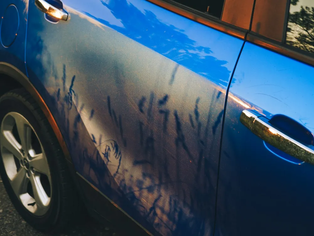 A scratched car door