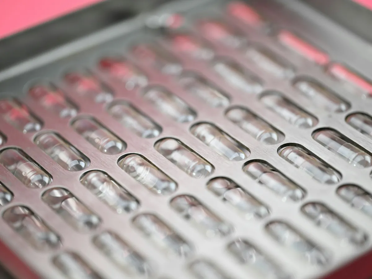 Trays of lash extensions