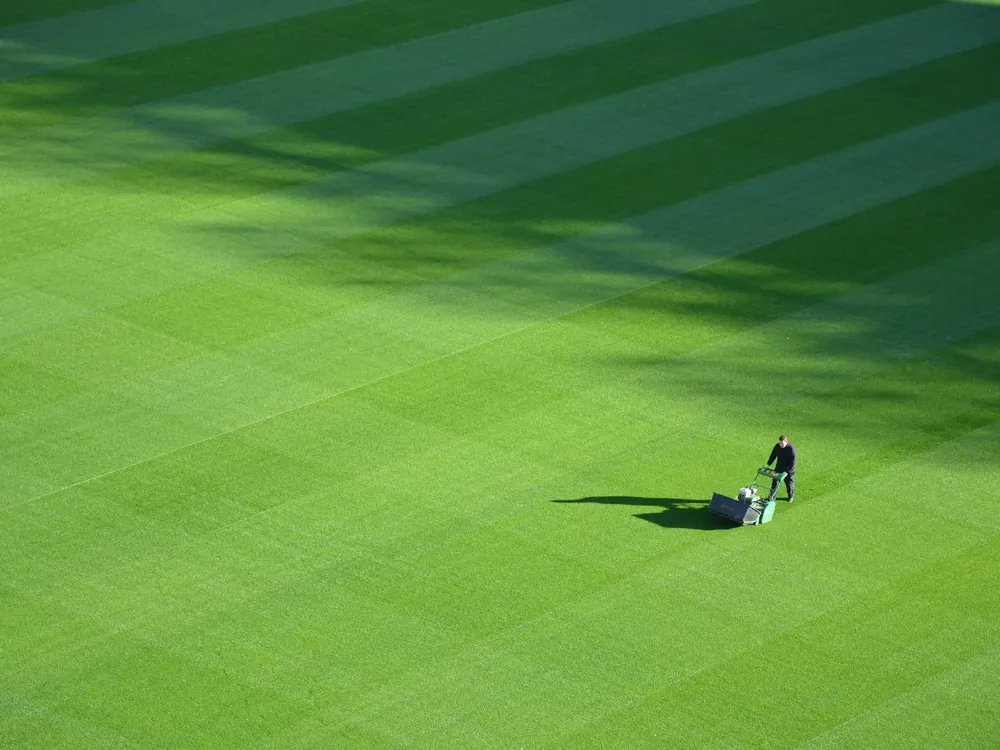 An aerial view of a mowed field with stripes