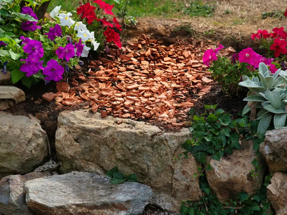 Flowers in a mulched garden bed
