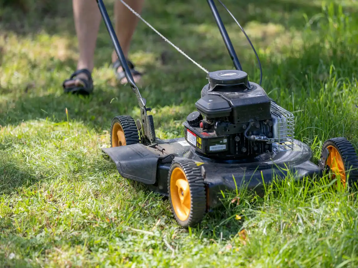 A lawn mower on fresh grass