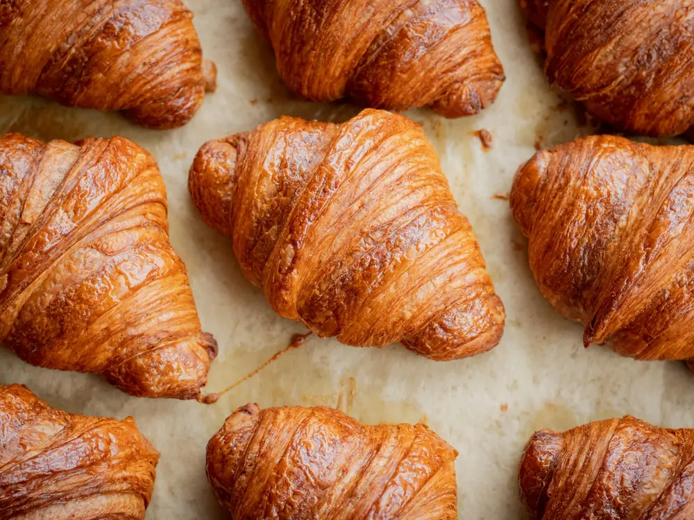 Rows of croissants